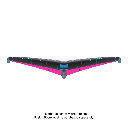 FLOAT26---WingGeometry_text.png