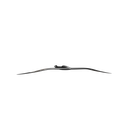 Blitz30DLAB880_-_2_.png